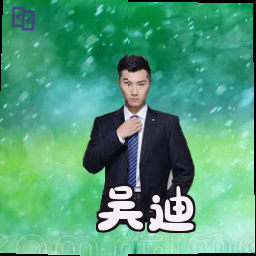 吴迪
